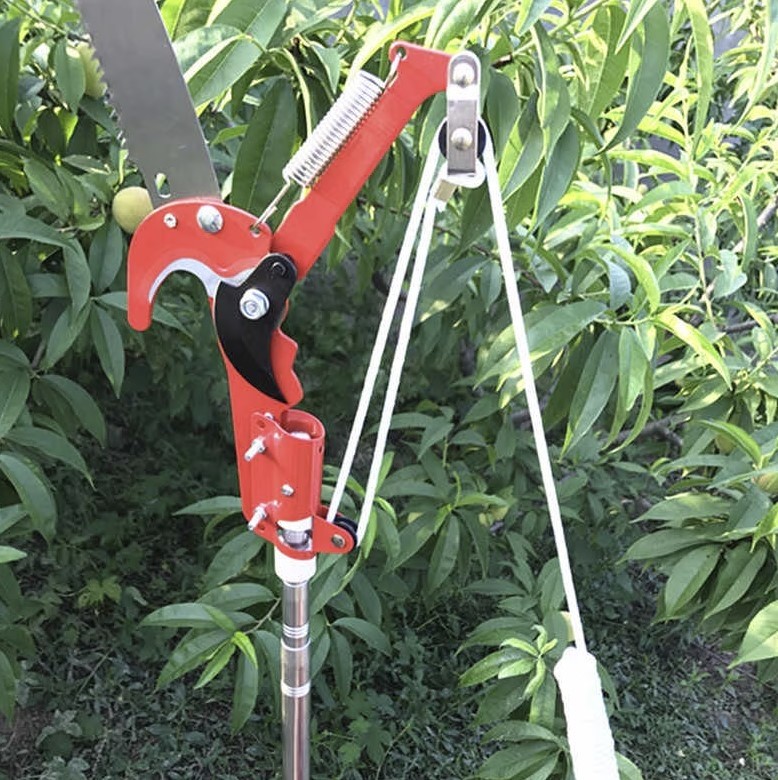 Fierastrau extensibil pentru taierea crengilor